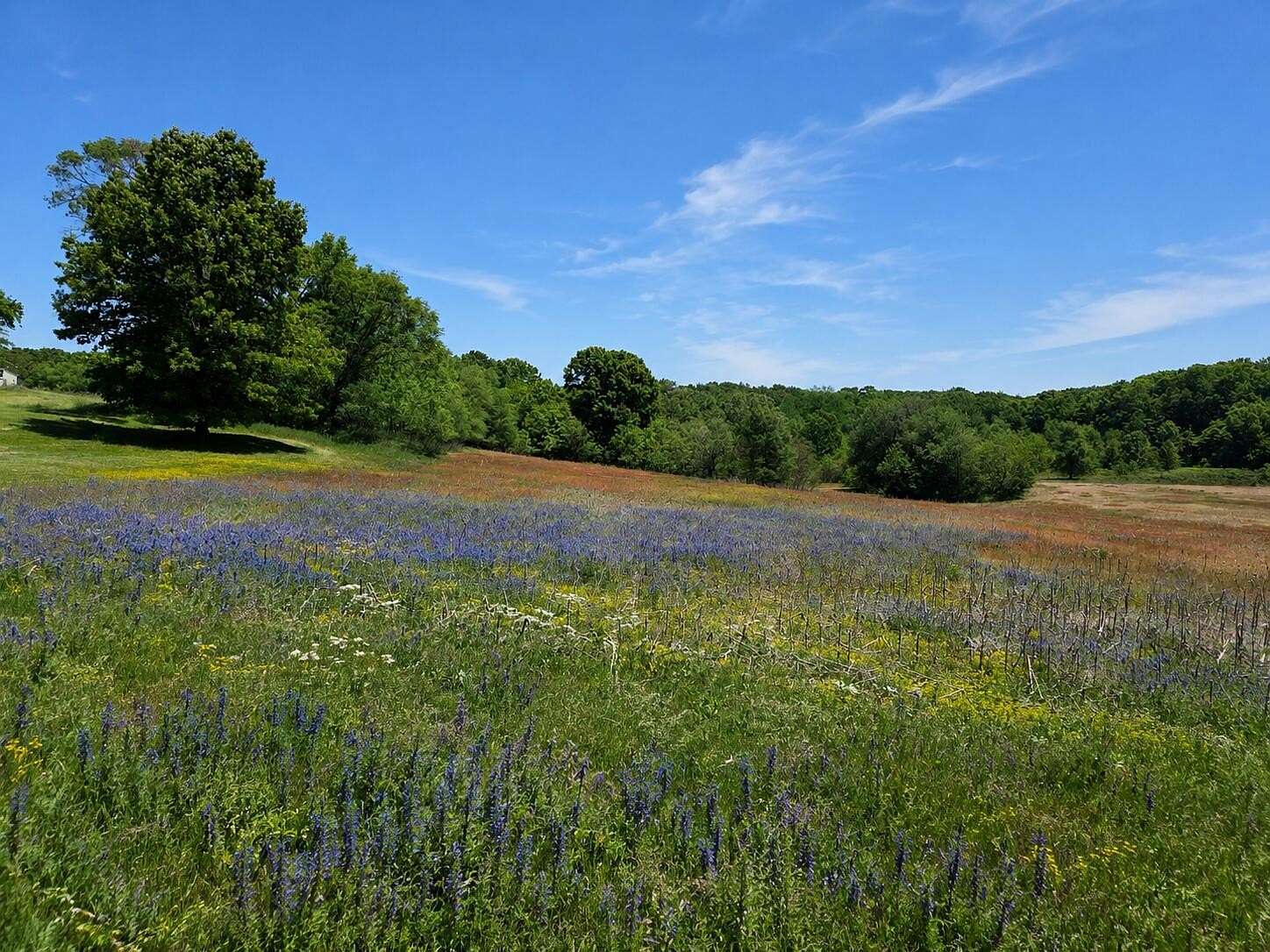 10 Acres of Residential Land for Sale in Coloma, Michigan