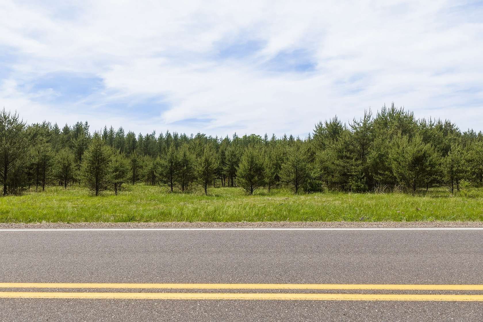 40 Acres of Recreational & Residential Land for Sale in Augusta, Wisconsin