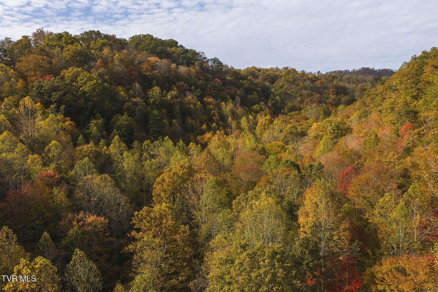 89 Acres of Recreational Land for Sale in Blackwater, Virginia