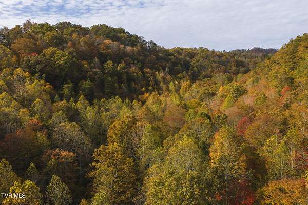 89 Acres of Recreational Land for Sale in Blackwater, Virginia