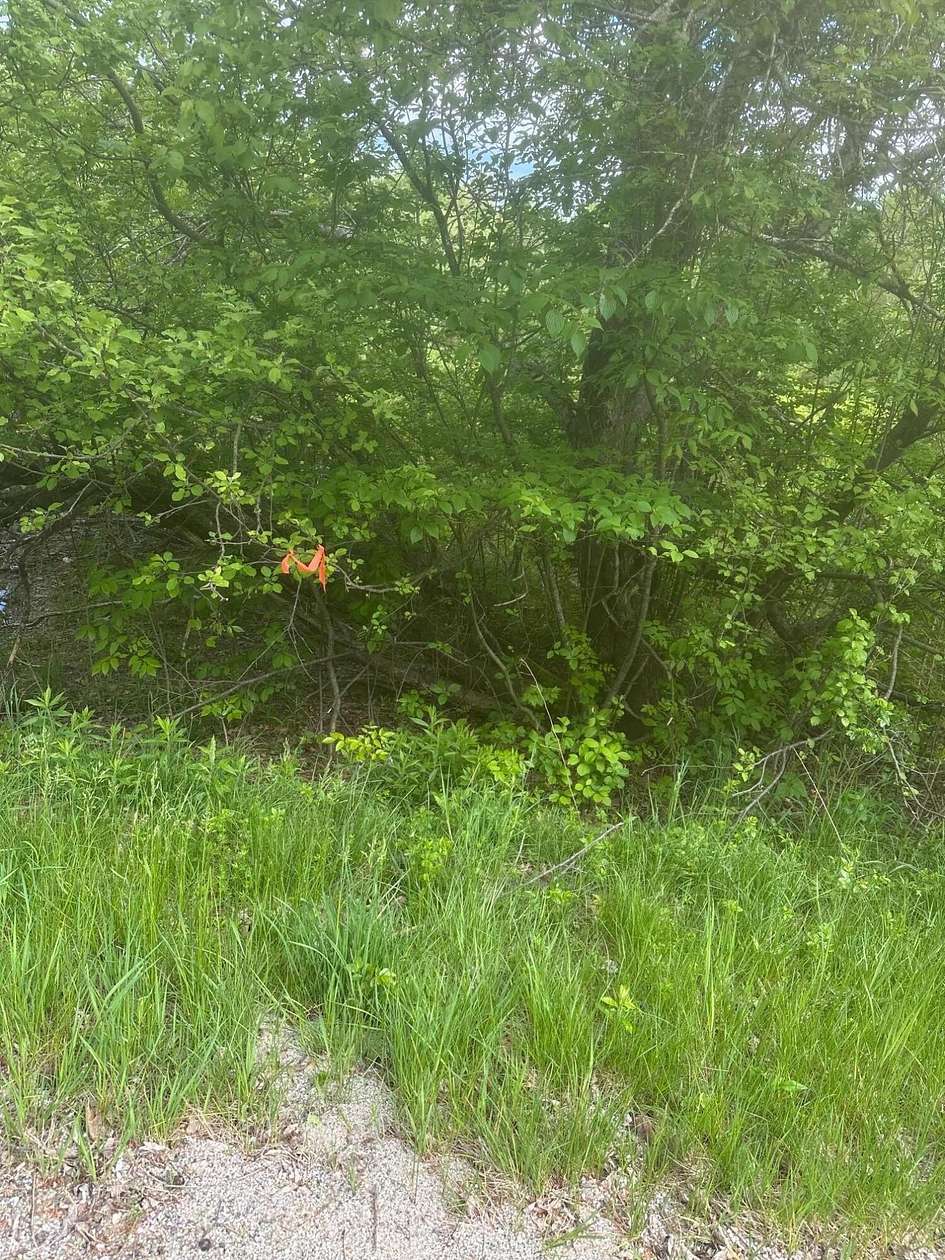 5.22 Acres of Residential Land for Sale in Steuben, Maine