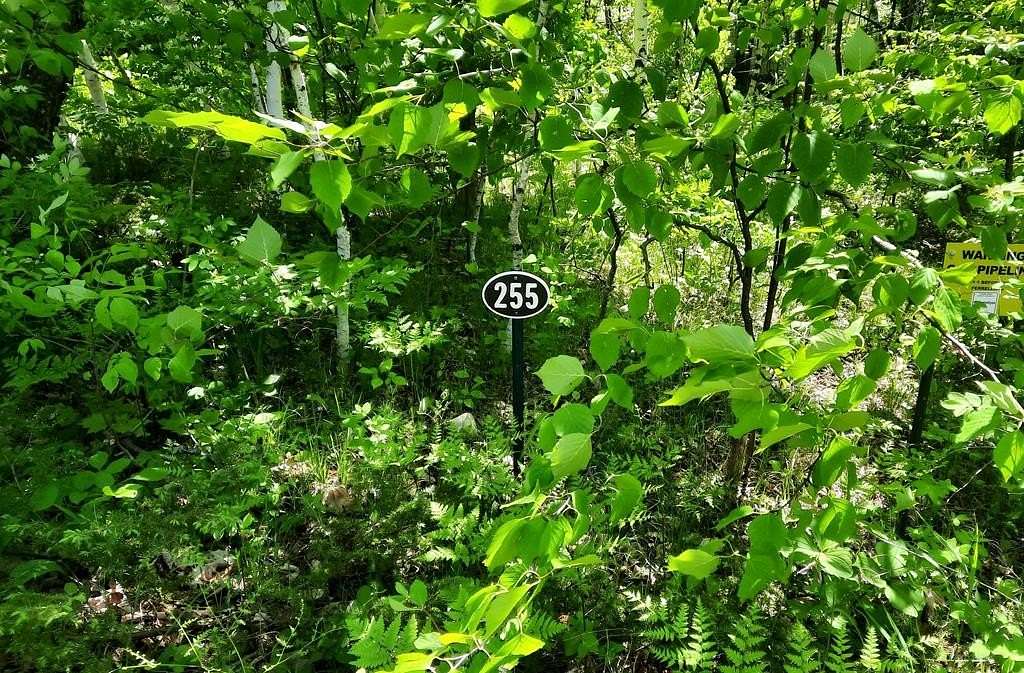 0.11 Acres of Land for Sale in Egg Harbor, Wisconsin