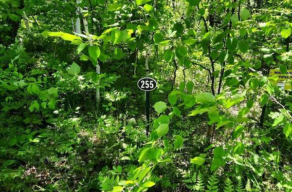 0.11 Acres of Land for Sale in Egg Harbor, Wisconsin