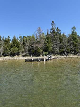0.46 Acres of Land for Sale in Cedarville, Michigan