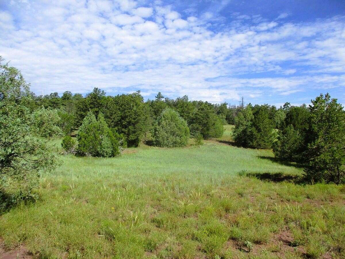 12.3 Acres of Recreational & Residential Land for Sale in Ramah, New Mexico