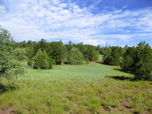 12.3 Acres of Recreational & Residential Land for Sale in Ramah, New Mexico