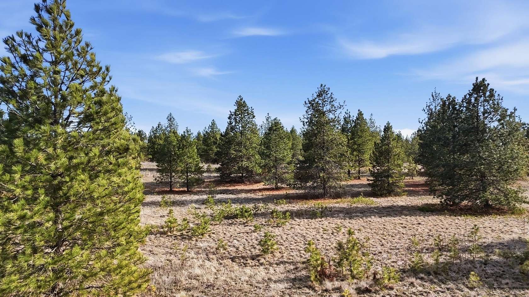 10 Acres of Land for Sale in Medical Lake, Washington