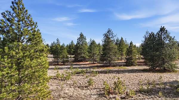 10 Acres of Land for Sale in Medical Lake, Washington