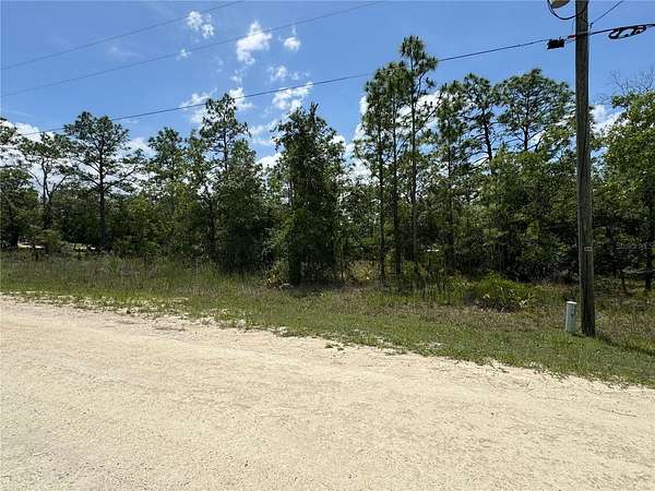 0.46 Acres of Residential Land for Sale in Weeki Wachee, Florida
