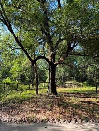 1.25 Acres of Residential Land for Sale in Dunnellon, Florida