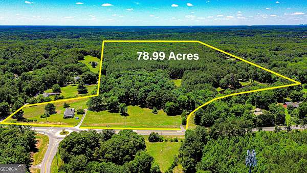 75.9 Acres of Recreational Land for Sale in Stockbridge, Georgia