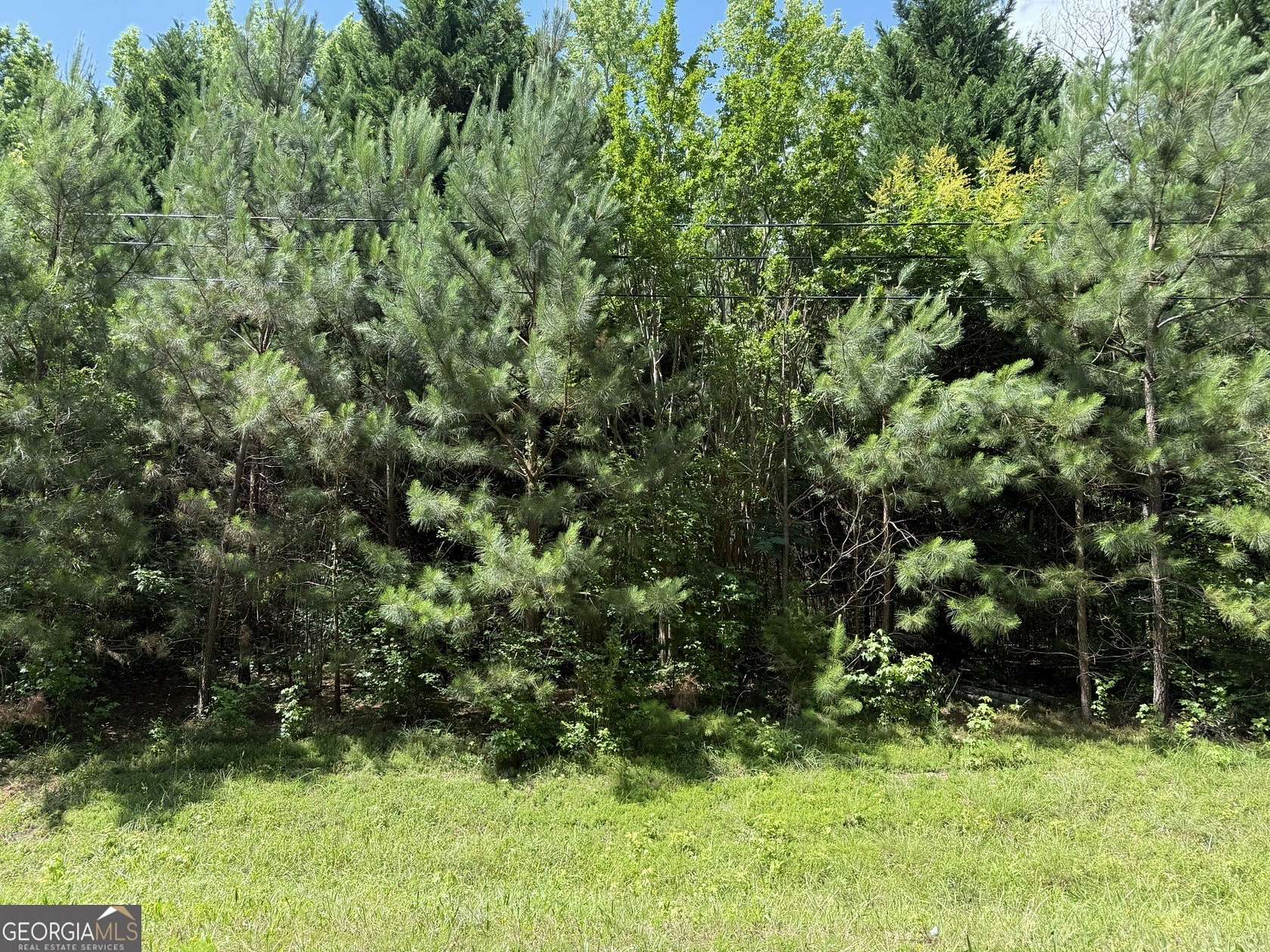 2 Acres of Residential Land for Sale in Warm Springs, Georgia