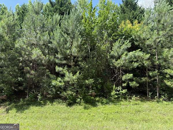 2 Acres of Residential Land for Sale in Warm Springs, Georgia