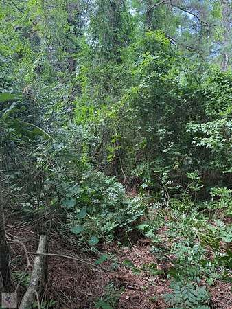 5 Acres of Residential Land for Sale in De Kalb, Texas