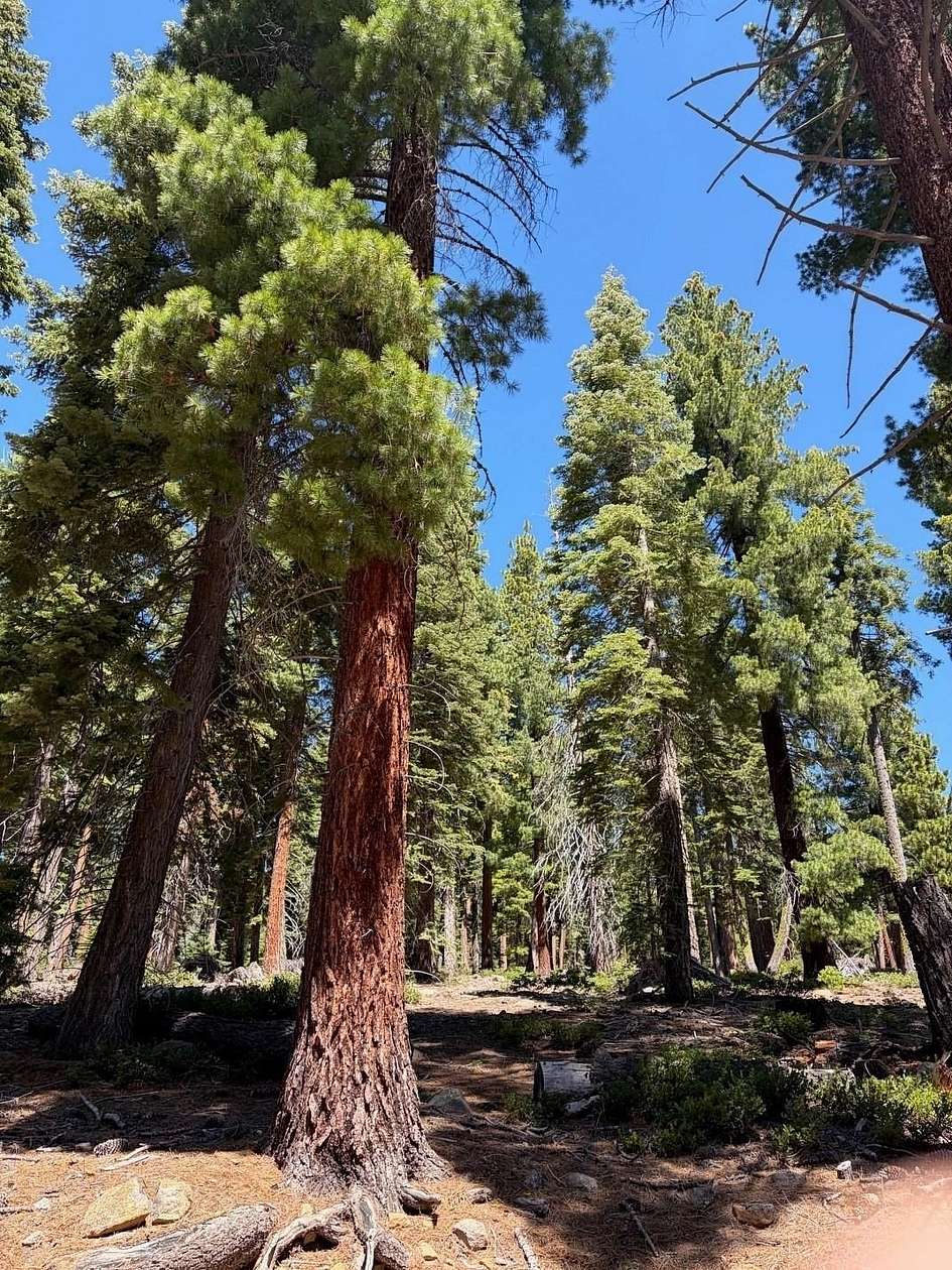Residential Land for Sale in Tahoe Vista, California