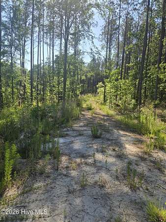 6.67 Acres of Residential Land for Sale in Lincolnton, Georgia