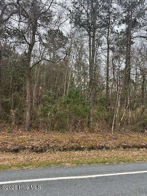 0.93 Acres of Residential Land for Sale in Lake Waccamaw, North Carolina