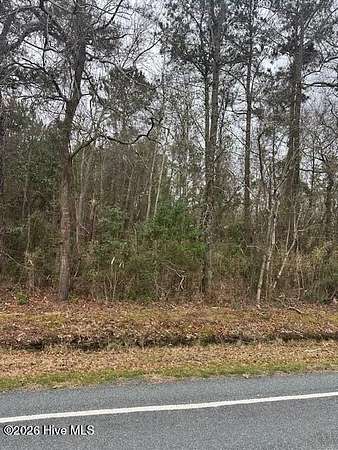 0.93 Acres of Residential Land for Sale in Evergreen, North Carolina