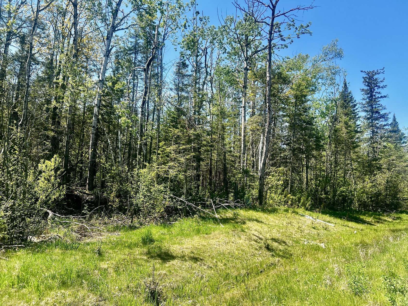 6.78 Acres of Land for Sale in Cheboygan, Michigan
