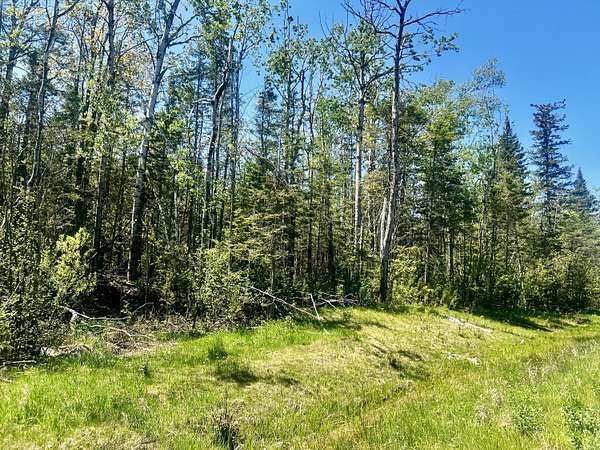 6.78 Acres of Land for Sale in Cheboygan, Michigan