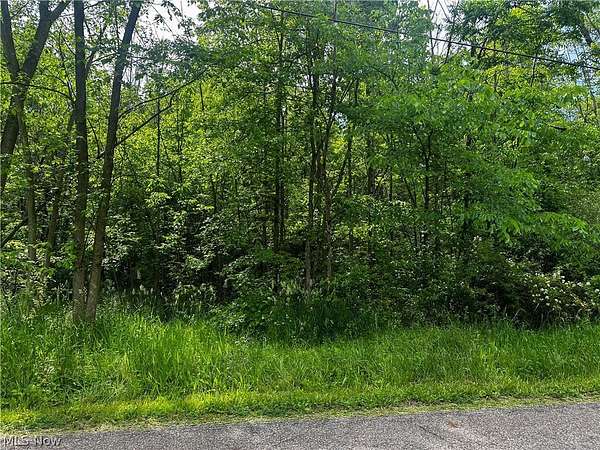 9.86 Acres of Land for Sale in Cortland, Ohio