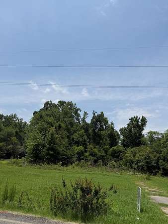 0.29 Acres of Land for Sale in Colquitt, Georgia