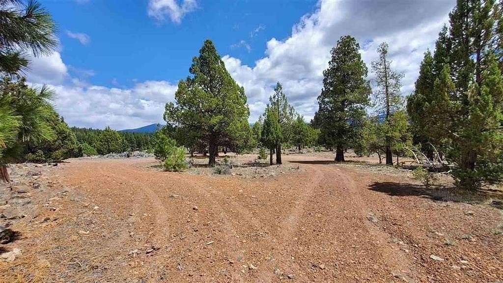 160 Acres of Land for Sale in Macdoel, California
