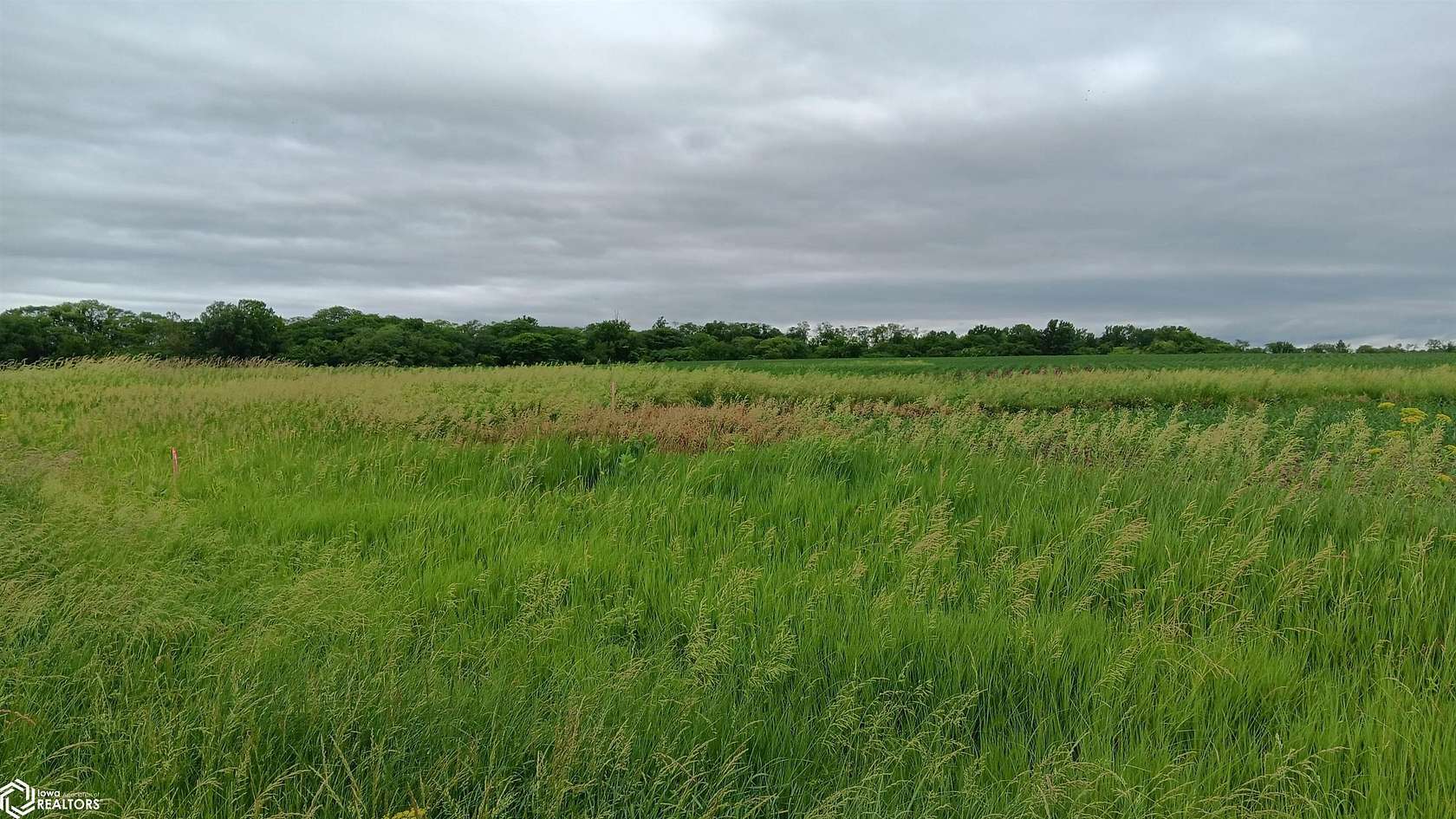 51 Acres of Agricultural Land for Sale in Batavia, Iowa