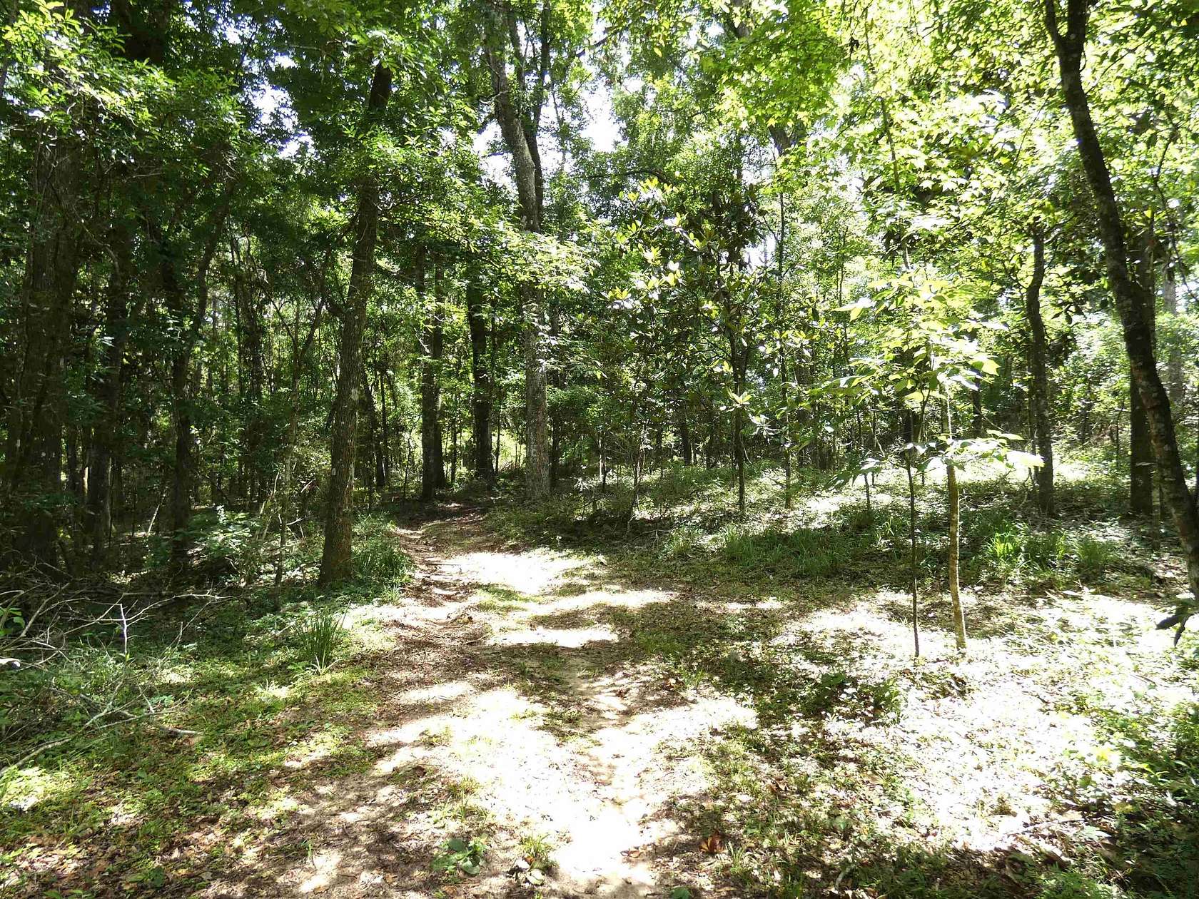 21 Acres of Recreational Land for Sale in Monticello, Florida