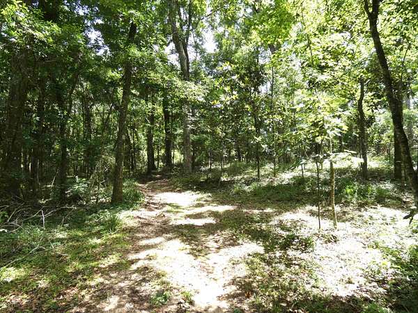 21 Acres of Recreational Land for Sale in Monticello, Florida