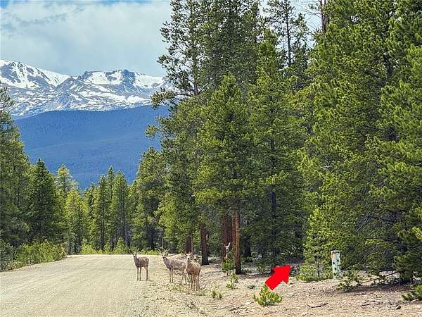 3.1 Acres of Residential Land for Sale in Leadville, Colorado