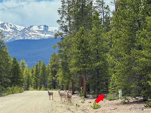 3.1 Acres of Residential Land for Sale in Leadville, Colorado