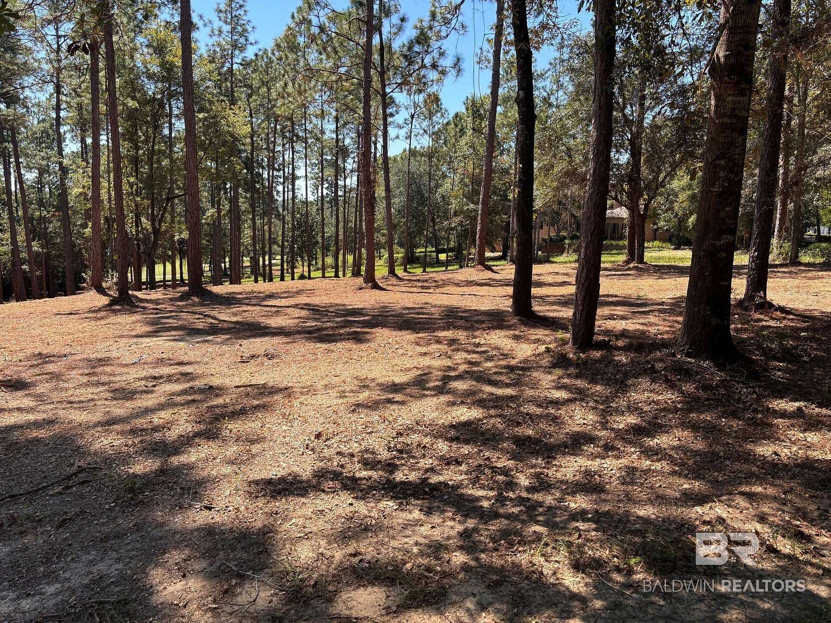 0.92 Acres of Residential Land for Sale in Loxley, Alabama