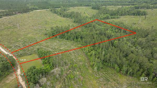 10 Acres of Land for Sale in Stapleton, Alabama