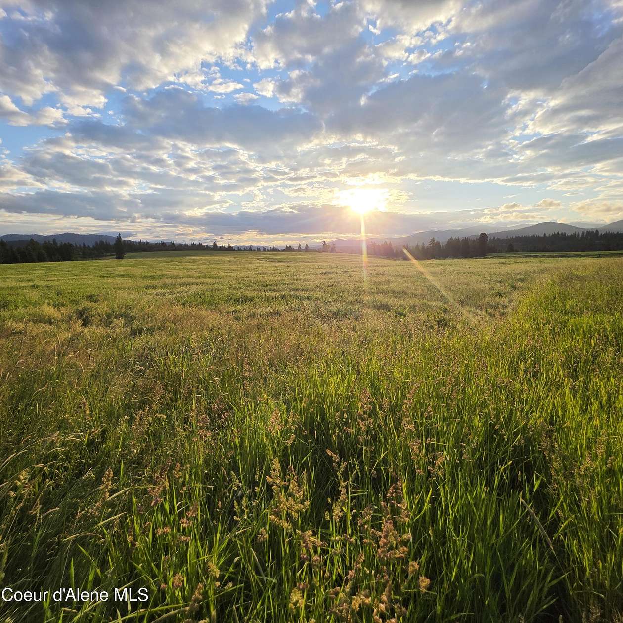 20.6 Acres of Land for Sale in Harrison, Idaho
