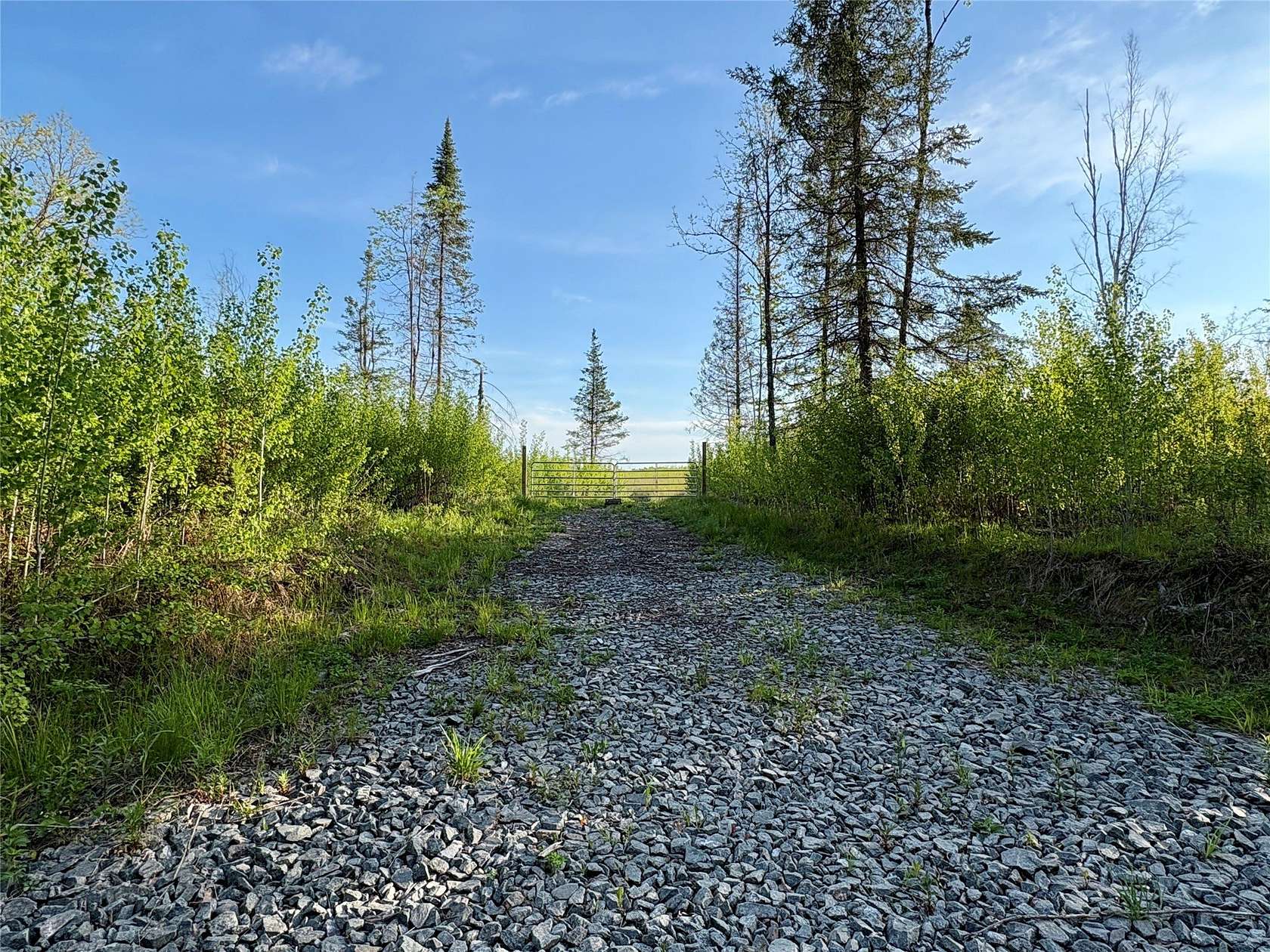 40 Acres of Land for Sale in Ladysmith, Wisconsin