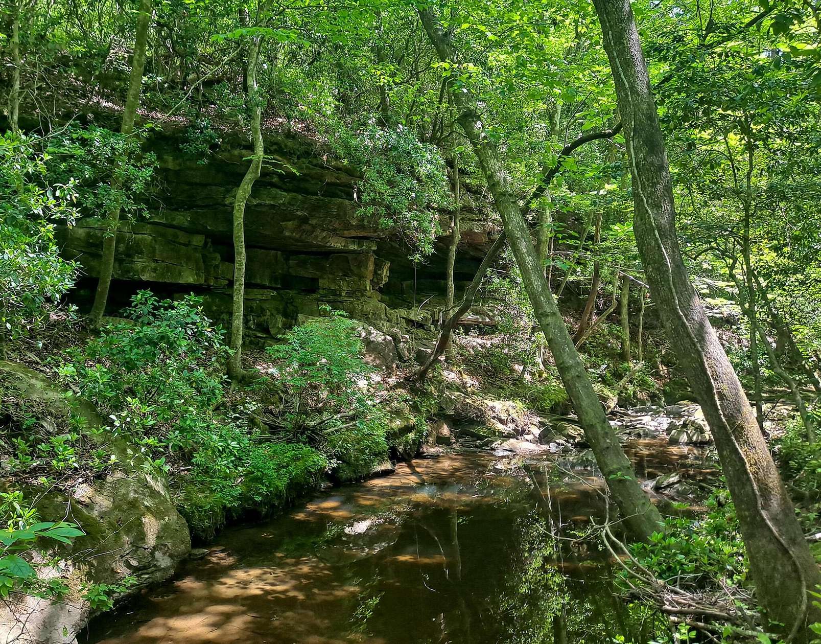 22 Acres of Land for Sale in Carbon Hill, Alabama