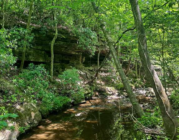 22 Acres of Land for Sale in Carbon Hill, Alabama