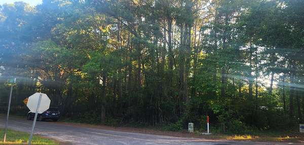 1 Acre of Residential Land for Sale in Johns Island, South Carolina