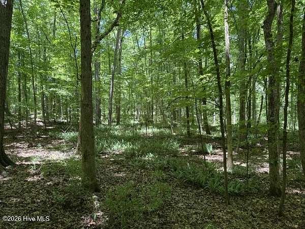 0.99 Acres of Residential Land for Sale in Eatonton, Georgia