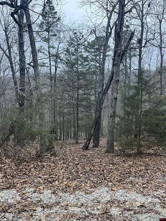 10 Acres of Land for Sale in Yellville, Arkansas