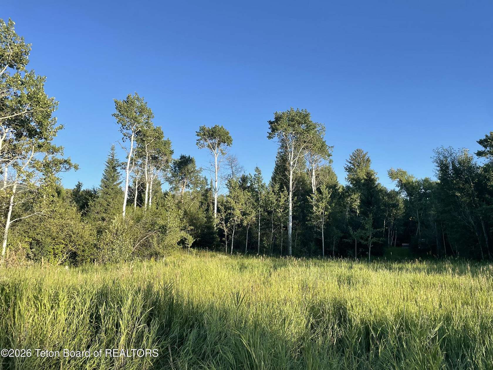 1 Acre of Residential Land for Sale in Alta, Wyoming