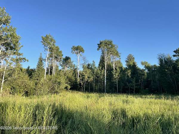 1 Acre of Residential Land for Sale in Alta, Wyoming