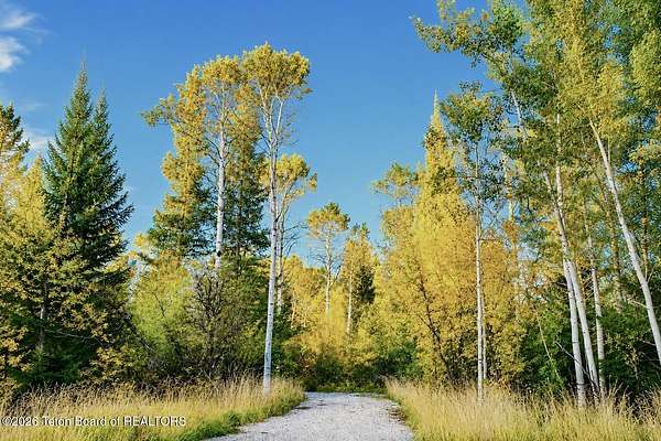 1 Acre of Residential Land for Sale in Alta, Wyoming