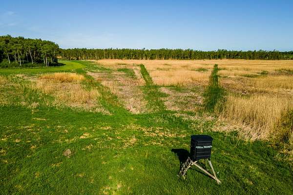 529 Acres of Recreational Land for Sale in Eldorado, Wisconsin