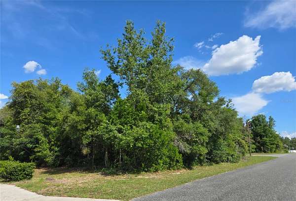 0.33 Acres of Residential Land for Sale in Ocala, Florida