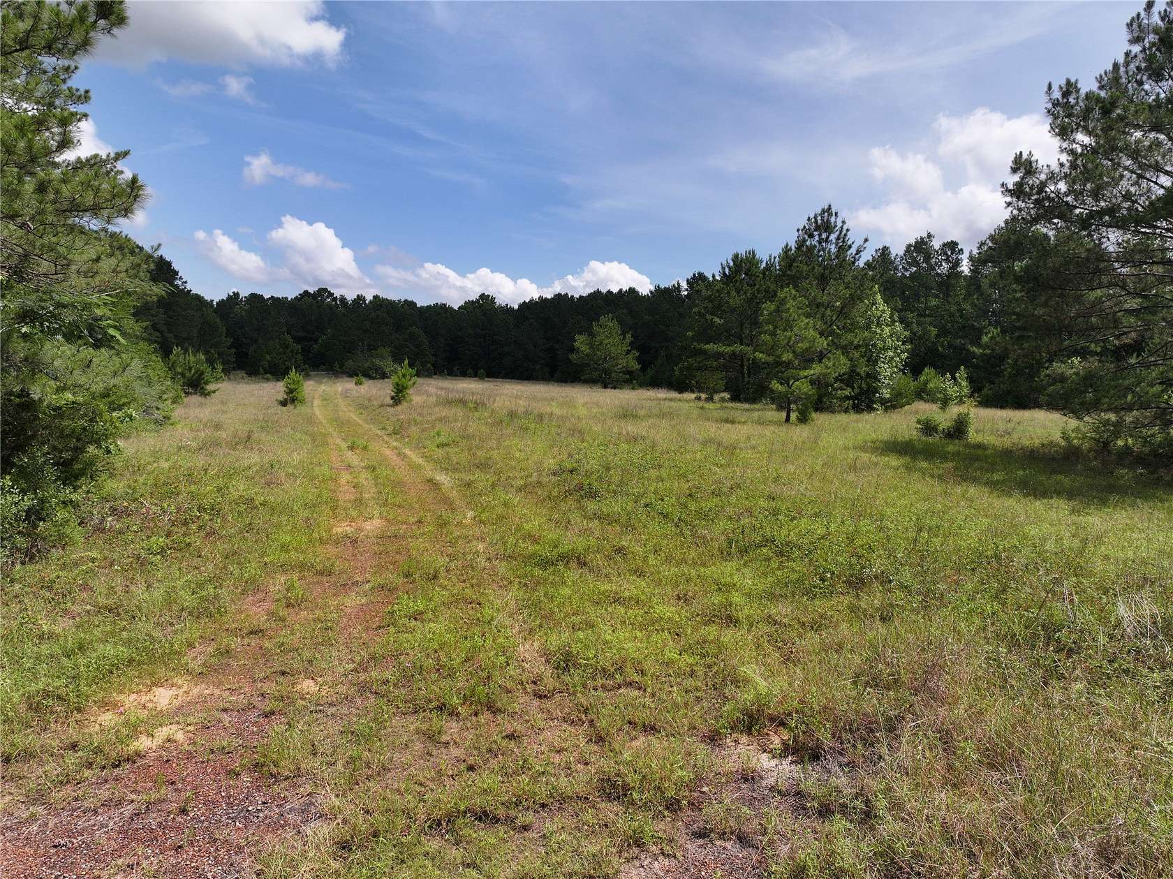 10 Acres of Recreational & Residential Land for Sale in Woodville, Texas