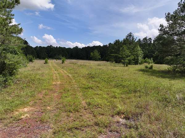 10 Acres of Recreational & Residential Land for Sale in Woodville, Texas