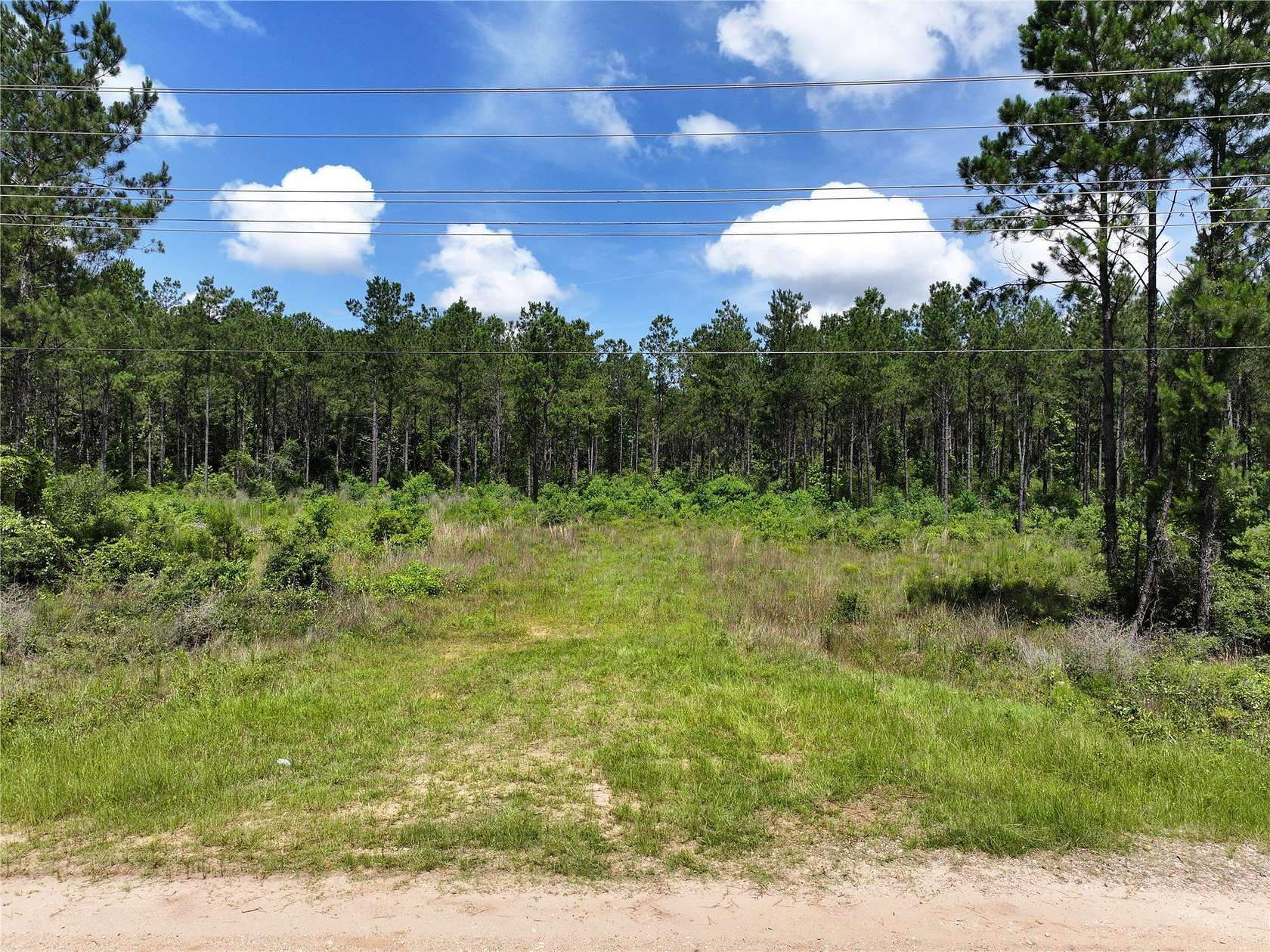 10 Acres of Recreational & Residential Land for Sale in Woodville, Texas