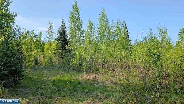 11 Acres of Recreational & Residential Land for Sale in Embarrass, Minnesota